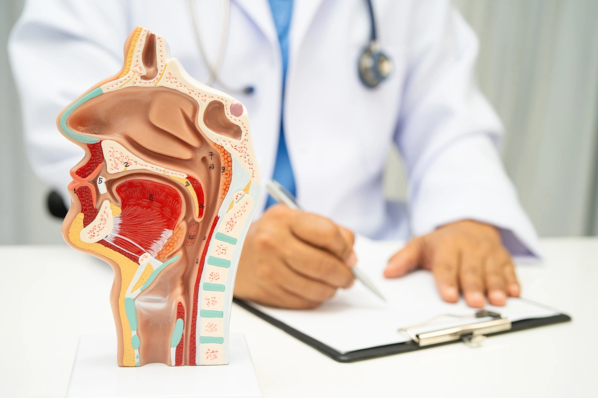 An ENT specialist referring to a model during a patient consultation for turbinate reduction