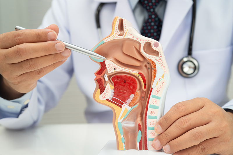 An ENT specialist consulting with a patient about ethmoiditis and the different sinus infection treatment options offered in Singapore.